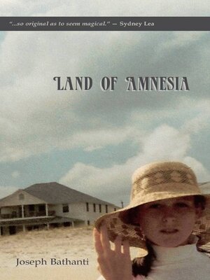 cover image of Land of Amnesia